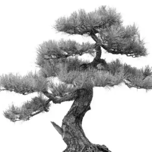 Arboristi ja Puunkaato
