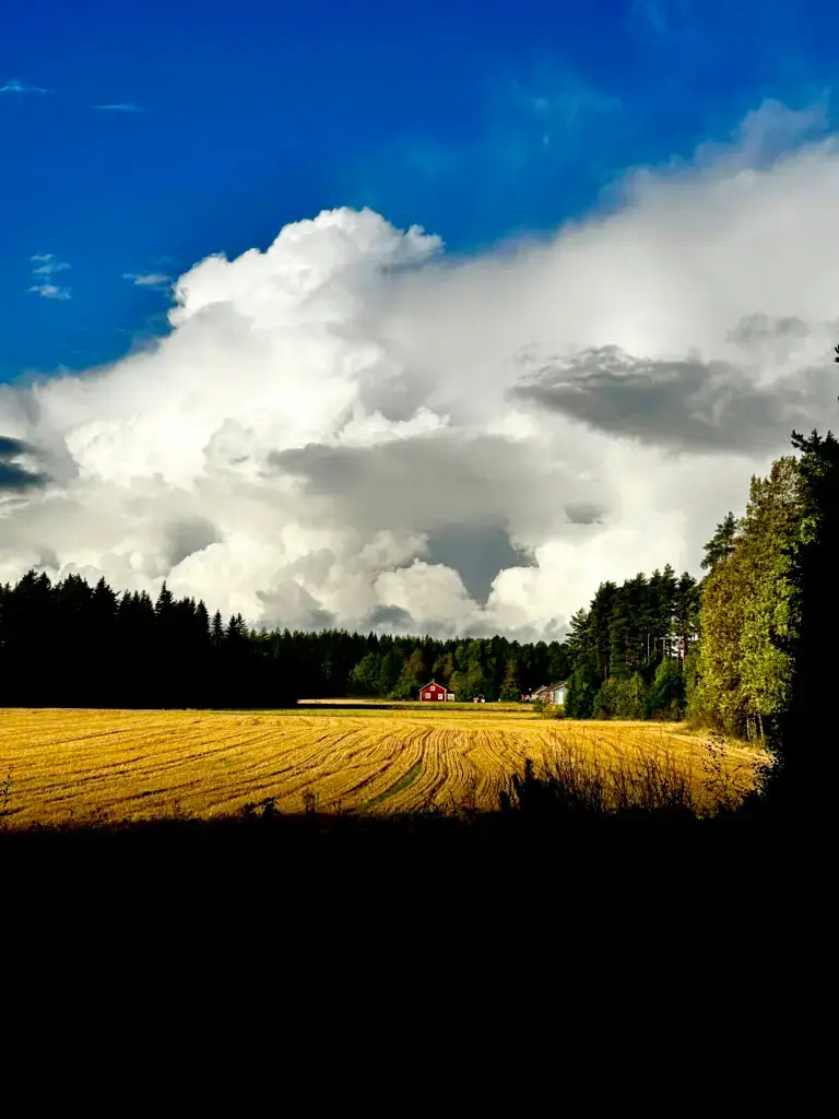 Nousiainen